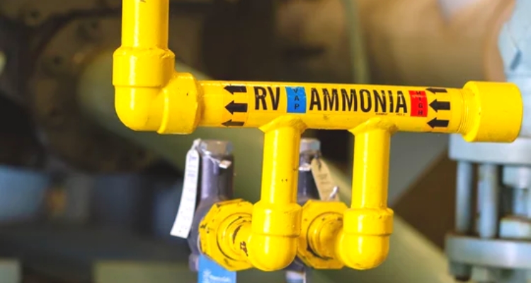 ammonia pipe